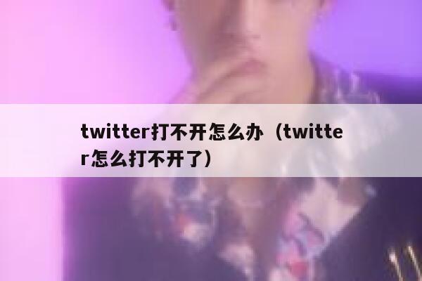 twitter打不开怎么办（twitter怎么打不开了） 第1张