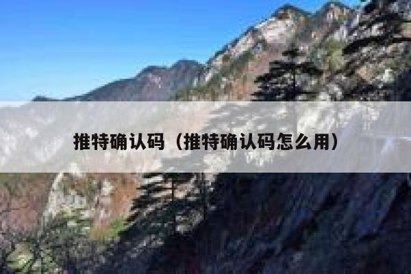推特确认码（推特确认码怎么用） 第1张