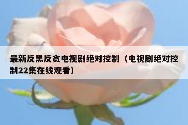 最新反黑反贪电视剧绝对控制（电视剧绝对控制22集在线观看） 第1张