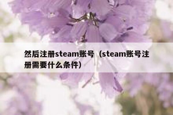 然后注册steam账号（steam账号注册需要什么条件） 第1张