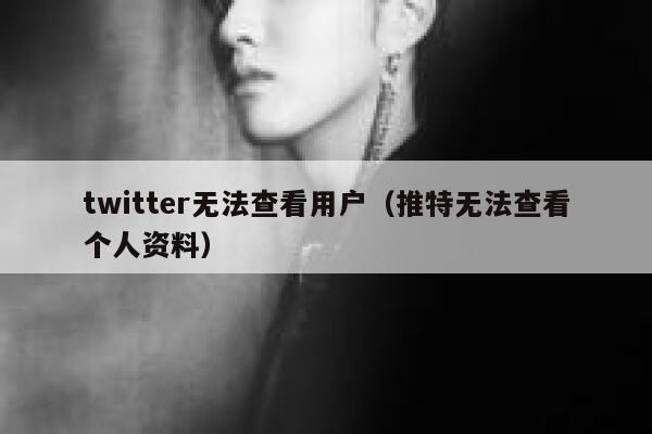 twitter无法查看用户（推特无法查看个人资料） 第1张
