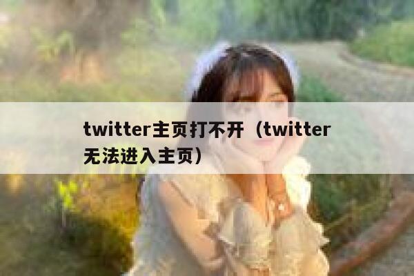 twitter主页打不开（twitter无法进入主页） 第1张