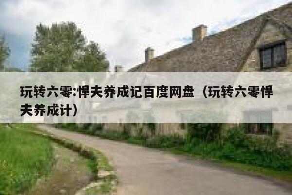 玩转六零:悍夫养成记百度网盘（玩转六零悍夫养成计） 第1张