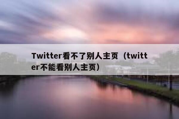 Twitter看不了别人主页（twitter不能看别人主页） 第1张