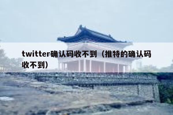 twitter确认码收不到（推特的确认码收不到） 第1张