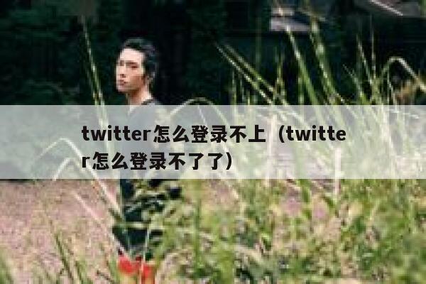 twitter怎么登录不上（twitter怎么登录不了了） 第1张