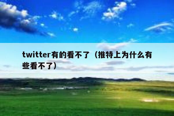 twitter有的看不了（推特上为什么有些看不了） 第1张