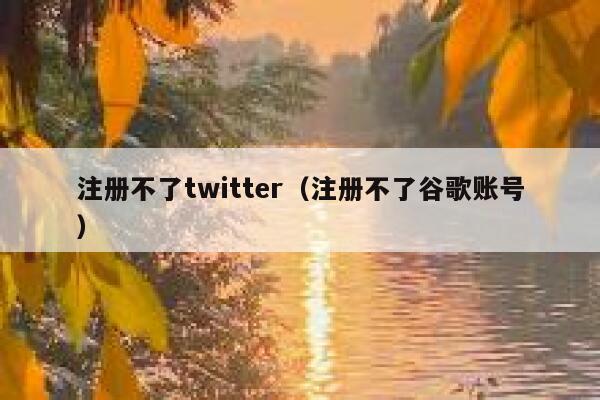 注册不了twitter（注册不了谷歌账号） 第1张