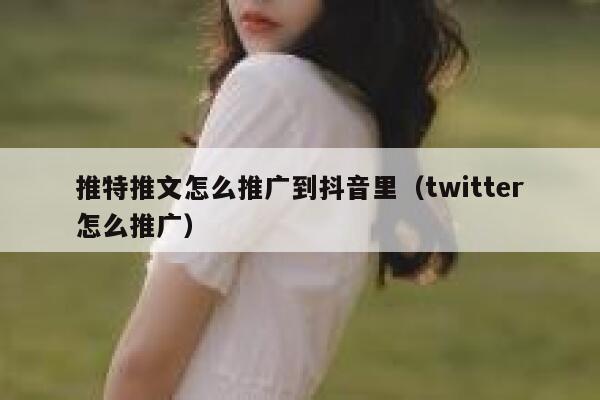 推特推文怎么推广到抖音里（twitter怎么推广） 第1张