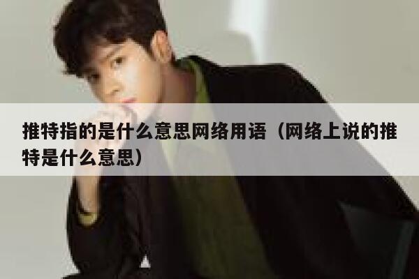 推特指的是什么意思网络用语（网络上说的推特是什么意思） 第1张