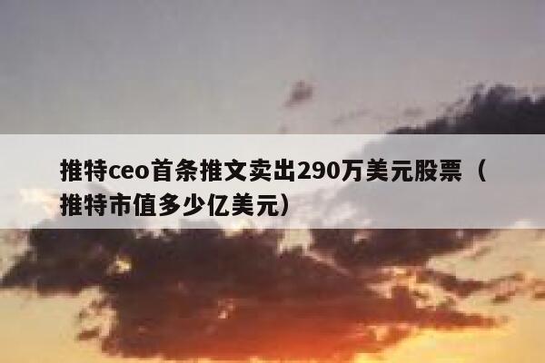 推特ceo首条推文卖出290万美元股票（推特市值多少亿美元） 第1张
