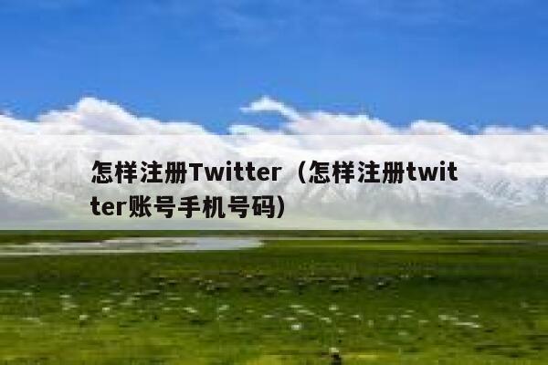 怎样注册Twitter（怎样注册twitter账号手机号码） 第1张