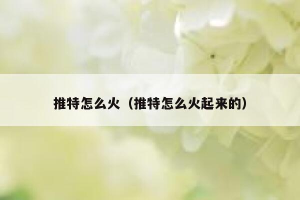 推特怎么火（推特怎么火起来的） 第1张
