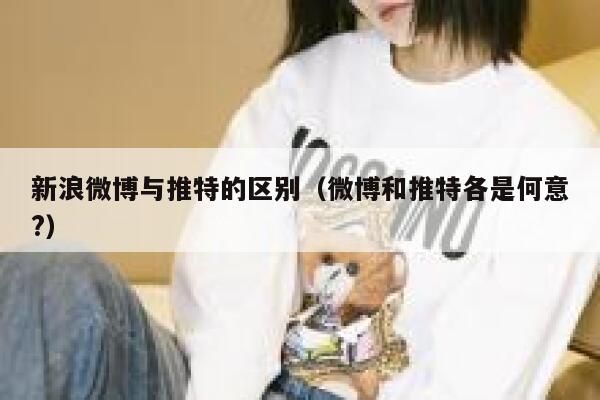 新浪微博与推特的区别（微博和推特各是何意?） 第1张