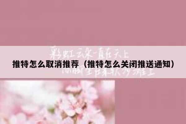 推特怎么取消推荐（推特怎么关闭推送通知） 第1张