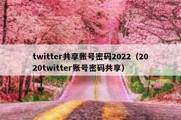 twitter共享账号密码2022（2020twitter账号密码共享） 第1张