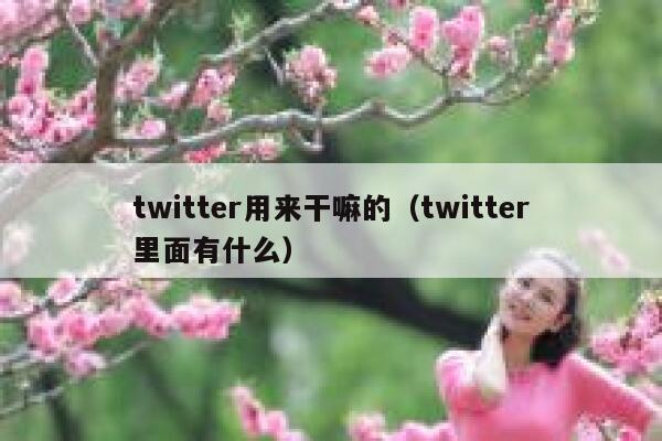 twitter用来干嘛的（twitter里面有什么） 第1张