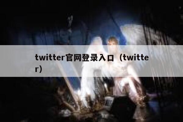twitter官网登录入口（twitter） 第1张