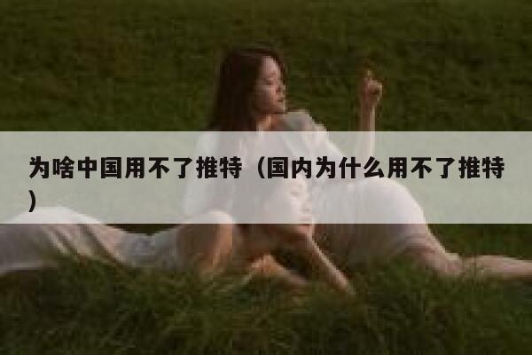 为啥中国用不了推特（国内为什么用不了推特） 第1张