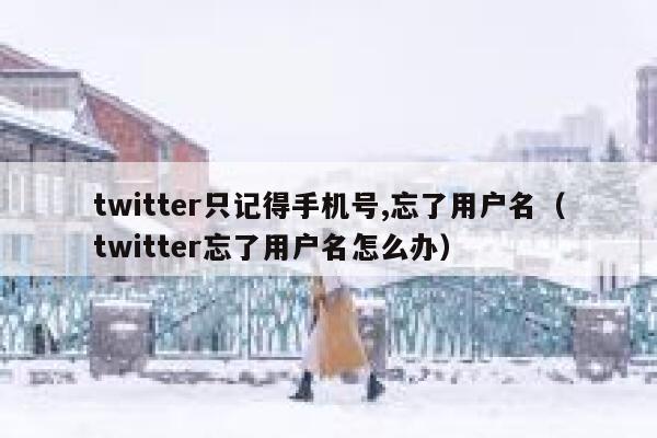 twitter只记得手机号,忘了用户名（twitter忘了用户名怎么办） 第1张