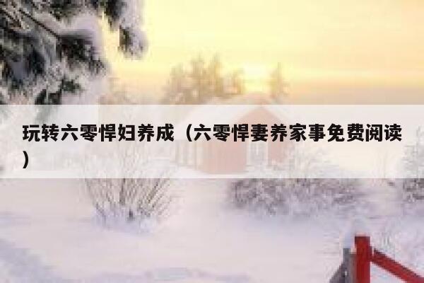玩转六零悍妇养成（六零悍妻养家事免费阅读） 第1张