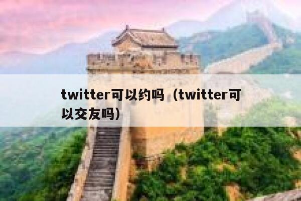 twitter可以约吗（twitter可以交友吗） 第1张