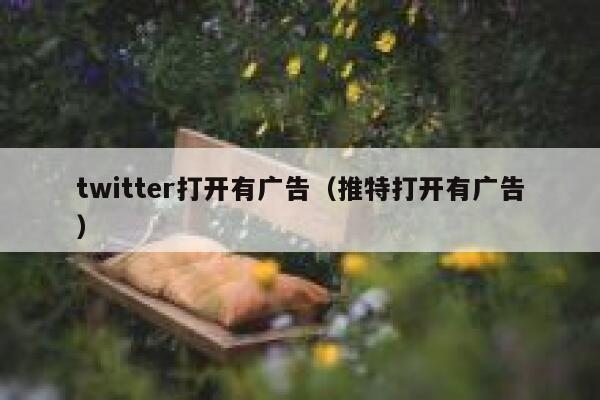 twitter打开有广告（推特打开有广告） 第1张