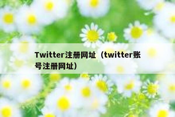 Twitter注册网址（twitter账号注册网址） 第1张