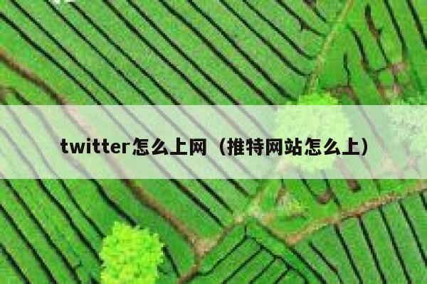 twitter怎么上网（推特网站怎么上） 第1张