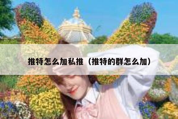 推特怎么加私推（推特的群怎么加） 第1张