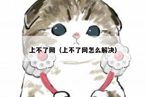 上不了网（上不了网怎么解决） 第1张