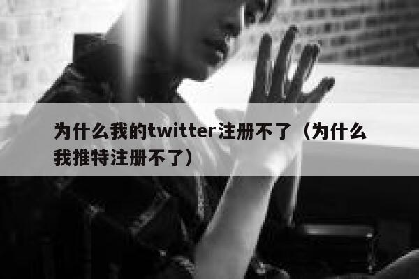 为什么我的twitter注册不了（为什么我推特注册不了） 第1张