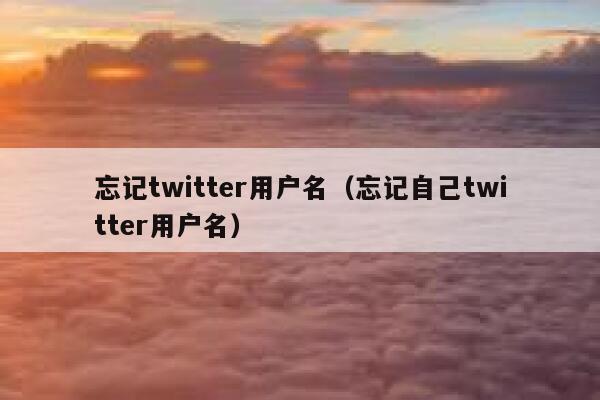 忘记twitter用户名（忘记自己twitter用户名） 第1张