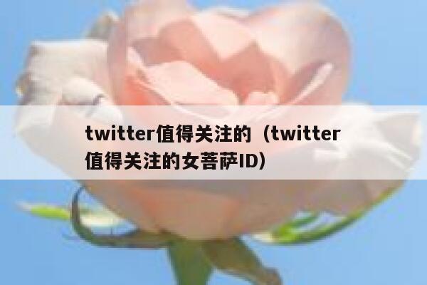 twitter值得关注的（twitter值得关注的女菩萨ID） 第1张