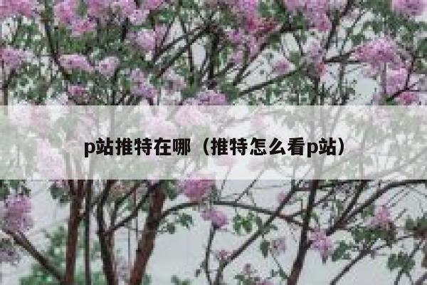 p站推特在哪（推特怎么看p站） 第1张