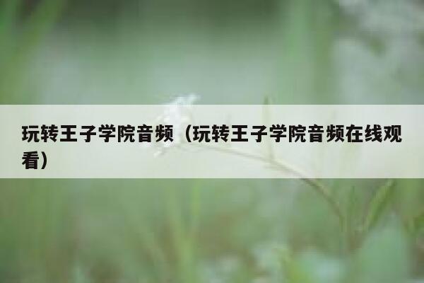 玩转王子学院音频（玩转王子学院音频在线观看） 第1张