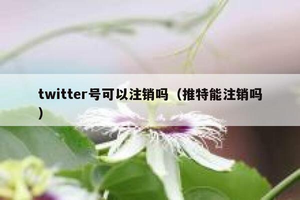 twitter号可以注销吗（推特能注销吗） 第1张