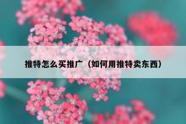 推特怎么买推广（如何用推特卖东西） 第1张