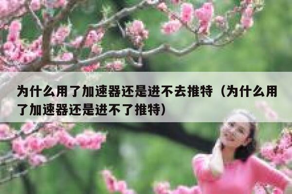 为什么用了加速器还是进不去推特（为什么用了加速器还是进不了推特） 第1张
