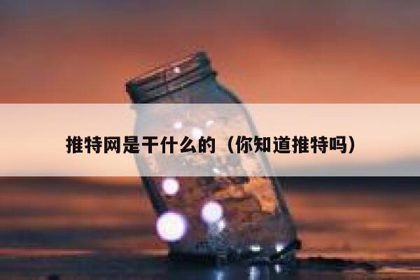 推特网是干什么的（你知道推特吗） 第1张