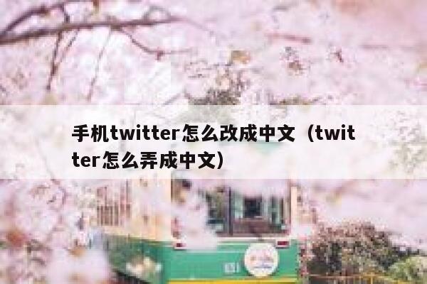 手机twitter怎么改成中文（twitter怎么弄成中文） 第1张