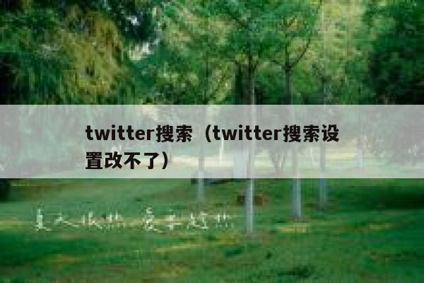 twitter搜索（twitter搜索设置改不了） 第1张