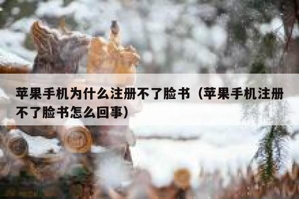 苹果手机为什么注册不了脸书（苹果手机注册不了脸书怎么回事） 第1张