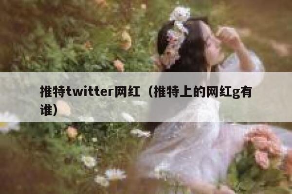 推特twitter网红（推特上的网红g有谁） 第1张