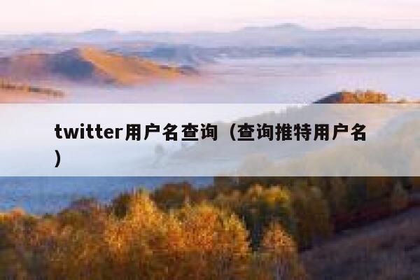 twitter用户名查询（查询推特用户名） 第1张