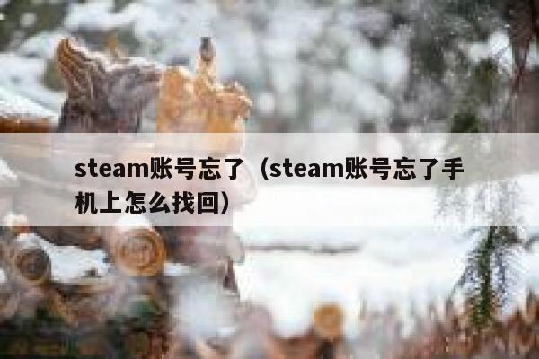steam账号忘了（steam账号忘了手机上怎么找回） 第1张