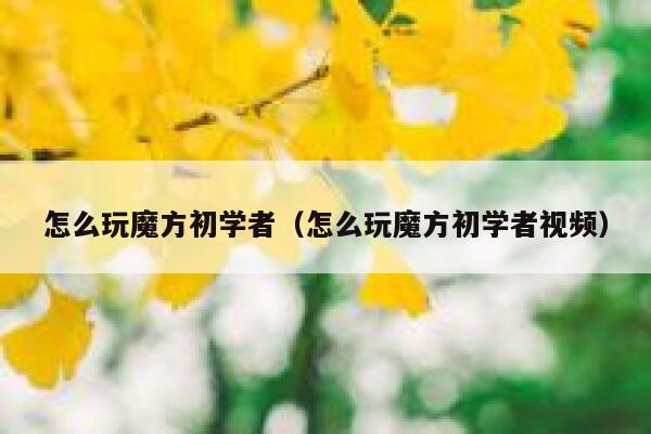 怎么玩魔方初学者（怎么玩魔方初学者视频） 第1张