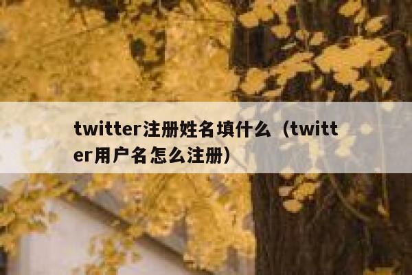 twitter注册姓名填什么（twitter用户名怎么注册） 第1张