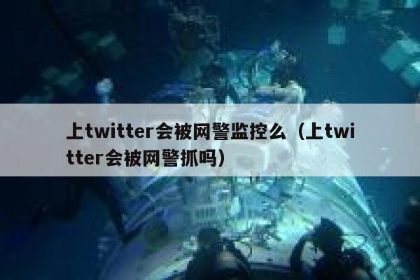 上twitter会被网警监控么（上twitter会被网警抓吗） 第1张