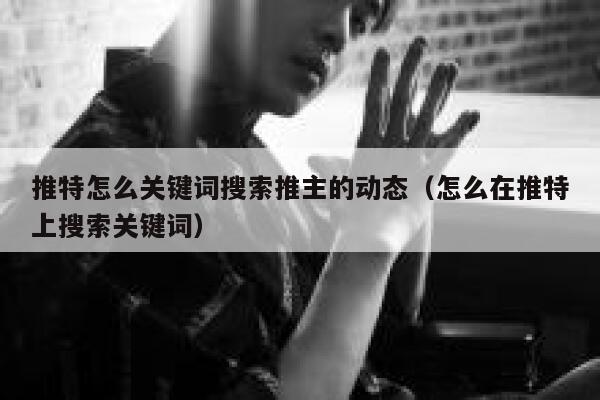 推特怎么关键词搜索推主的动态（怎么在推特上搜索关键词） 第1张